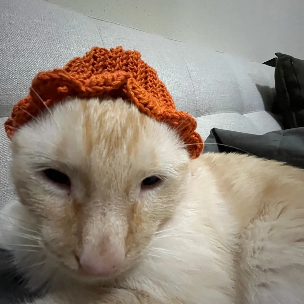 Custom crochet pet or baby hat!